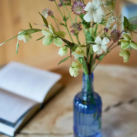 Feriehus L'ilot Du 9 - & Au Bord Du Hourtin